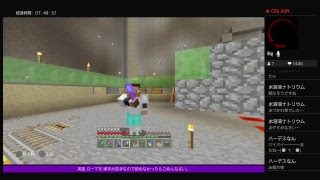 PS4[マインクラフト]まったり雑談ラジオ体操※画面固定多いです
