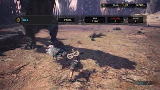 モンスターハンター：ワールド_闘技場 1狩り目