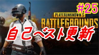 【PUBG】自己最多キル19KD ＃24【PC実況】