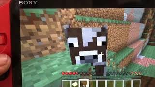 マインクラフト始めました(1)