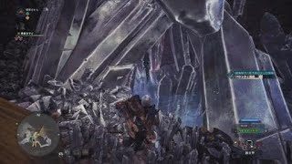 モンスターハンター：ワールド 調査協力：新大陸のヌシの捕獲