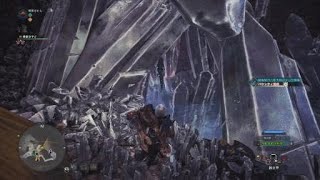 モンスターハンター：ワールド 調査協力：新大陸のヌシの捕獲