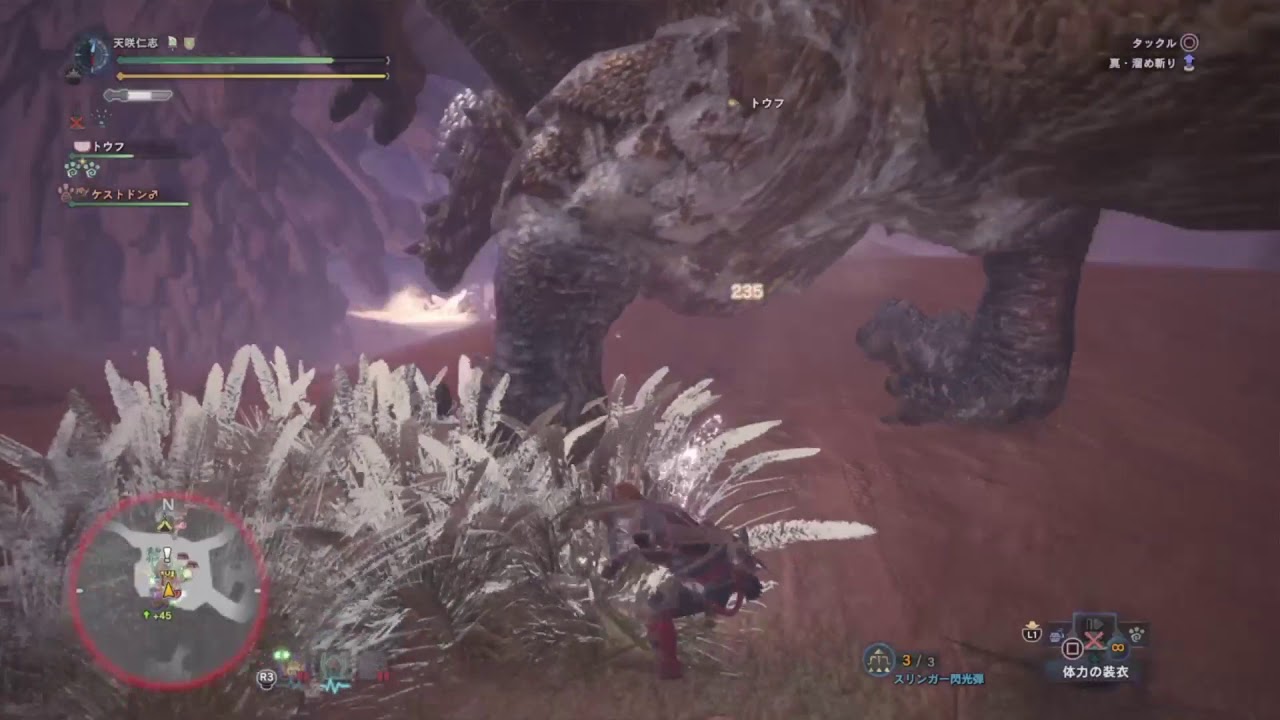 モンスターハンターワールド　＃15 歴戦ボルボロスとディアボロス