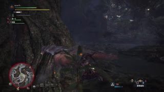モンスターハンターワールド #14