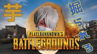 【PUBG】芋、掘られる。　初心者がやるPUBG 実況　実況プレイ＃１