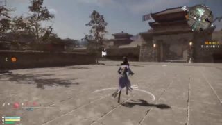 記録用配信　真三國無双8  フリー　魏軍レベル上げ