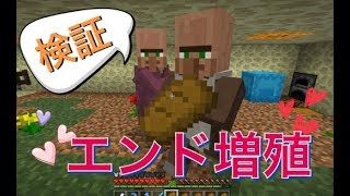 【マインクラフト】　検証　エンドでも村人さんは増えるのか？　　マイクラwin10実況　#129