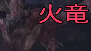 モンスターハンターワールドpart18「火竜リオレウス」