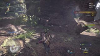 モンスターハンター　フワフワクイナ