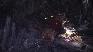 モンスターハンター：ワールド　スラアク　対ネル