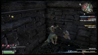 真・三國無双8【姜維】