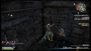 真・三國無双8【姜維】