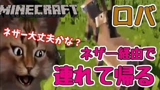 【猫のマインクラフト】嫌な予感！？ロバをネザー経由で連れて帰ろう【ネコクラPart35】