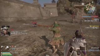 三國無双8やりもす