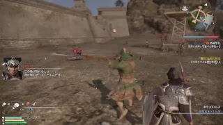 三國無双8やりもす