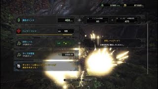 モンスターハンター：ワールド_20180322225458ジョー特殊任務初見