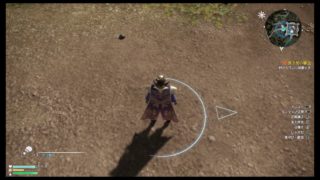 真三國無双8　しばきに行くでー！