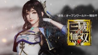 真・三国無双8  修羅殺陣【辛憲英】