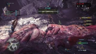 【 MHW 】 初心者です！怒らないでね！概要欄参照【 モンスターハンターワールド 】