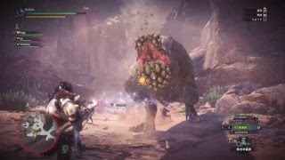 【 MHW 】 初心者です！怒らないでね！概要欄参照【 モンスターハンターワールド 】