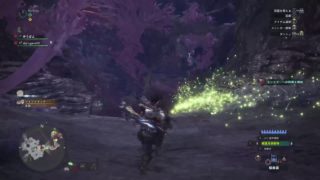 【 MHW 】 初心者です！怒らないでね！概要欄参照【 モンスターハンターワールド 】