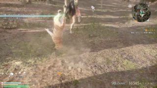 ［真・三國無双8］諸国漫遊という名の未開地探索