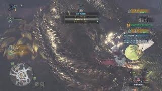 ［モンスターハンター：ワールド］歴戦イビルソロ