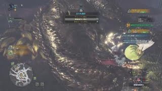 ［モンスターハンター：ワールド］歴戦イビルソロ