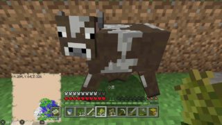 【マインクラフト】はる坊＆しょ太郎島＃９