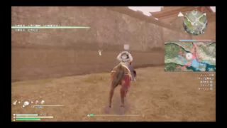 三國無双8 キャラクター　左慈