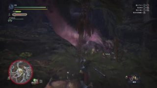 甘猫くんのハンターライフ　[4]　モンスターハンターワールド