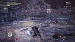 モンスターハンターワールド　垂れ流し　練習　大剣