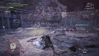 モンスターハンターワールド　垂れ流し　練習　大剣