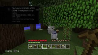 くろさんと無駄話しながらのんびりマインクラフト