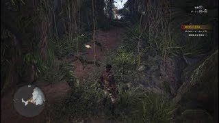 モンスターハンター：ワールド_オープニング