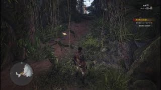 モンスターハンター：ワールド_オープニング