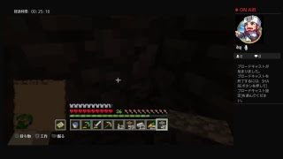 マインクラフト！！