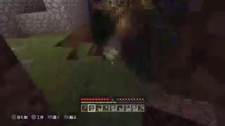 PS4版　参加型マインクラフト参加大歓迎！