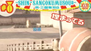 #8王子まことの真・三國無双8