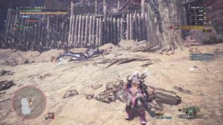 狩れ！この生ける大地と共に　モンスターハンターワールド＃End