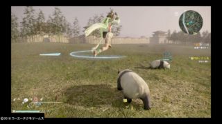 真・三國無双８　パンダ可愛い　Dynasty  Warrior s 8 cute  giant panda bears.