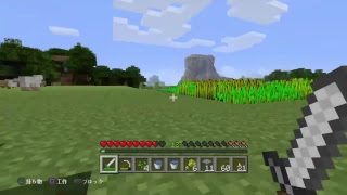 PS4　マインクラフト　ラスカル村計画