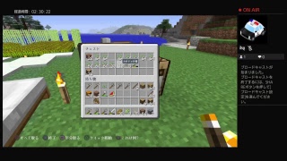 すぐ死んじゃう人のマインクラフト　その6