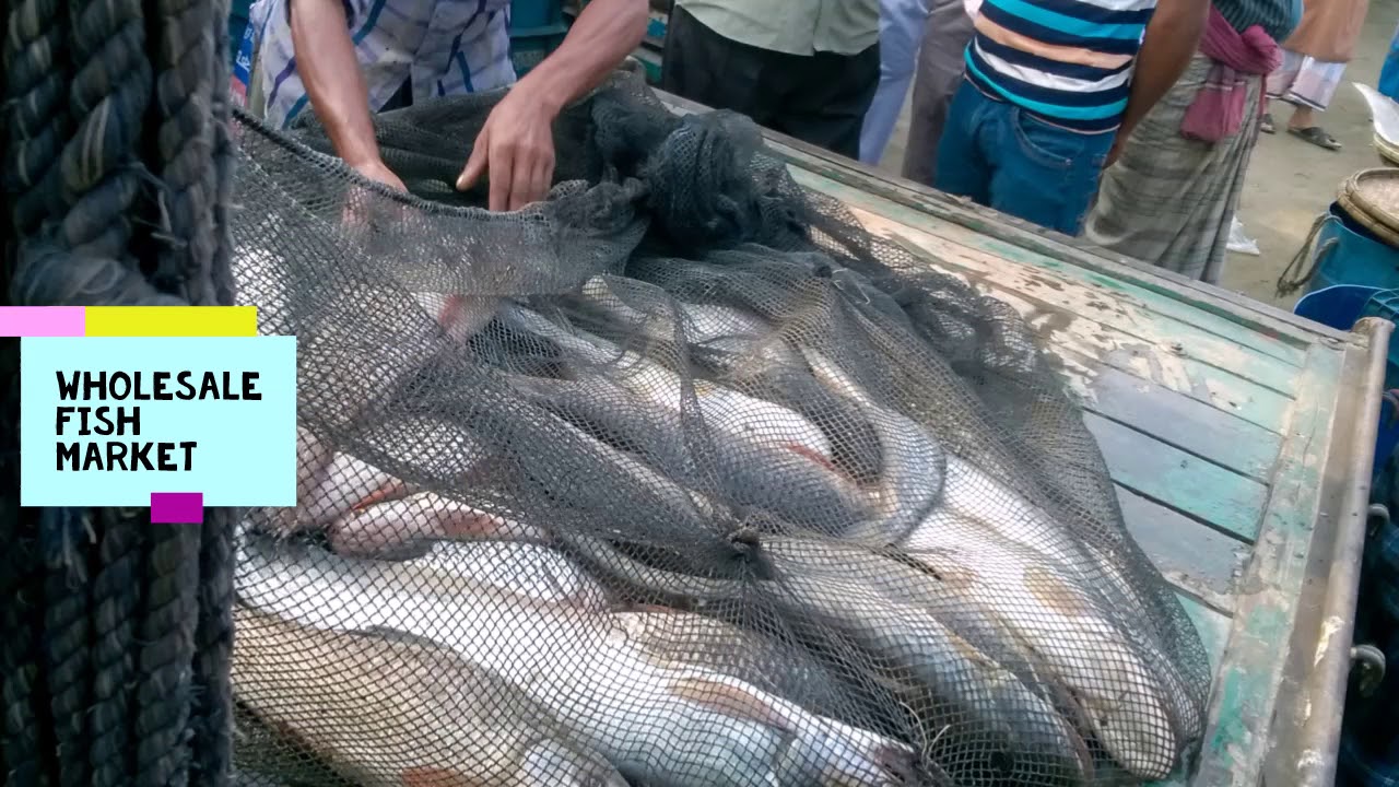 マインクラフト最新バグ　フリーズバグ　マインクラフト　ハル、ps4.ps3.wiiu.スイッチ