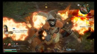 [真・三国無双 8] 祝融 リョナ shukuyuu ryona