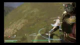 真三国無双8 　俺の嫁王元姫で無双祭