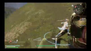 真三国無双8 　俺の嫁王元姫で無双祭