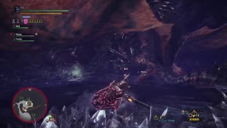 [PS4Pro配信]　ハチミツあげない人がやるモンスターハンターワールド