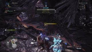 モンスターハンター：ワールド　ネルギガンテ　通常種　ハンマー　ソロ