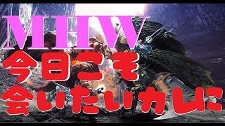 【MHW】HR180突破☆私の攻撃珠はどこですか？【モンスターハンターワールド】